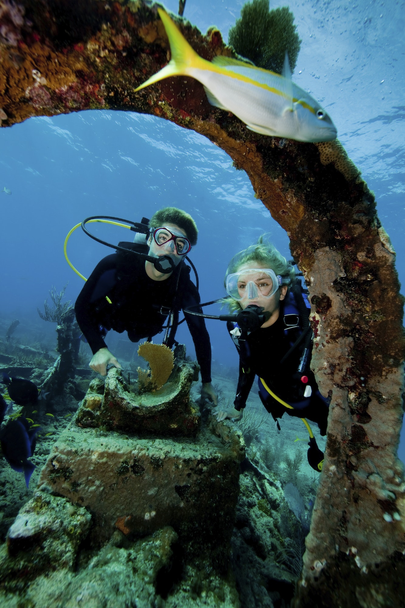 scuba diving on the city of washington shipwreck florida keys national marine sanctuary